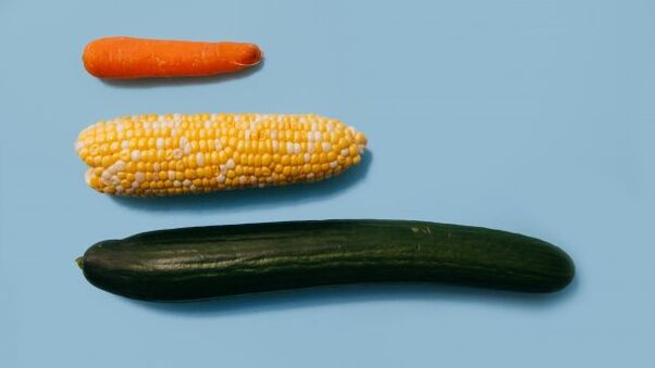 Different sizes of male member of the example of vegetables
