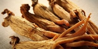 I member you can improve ginseng